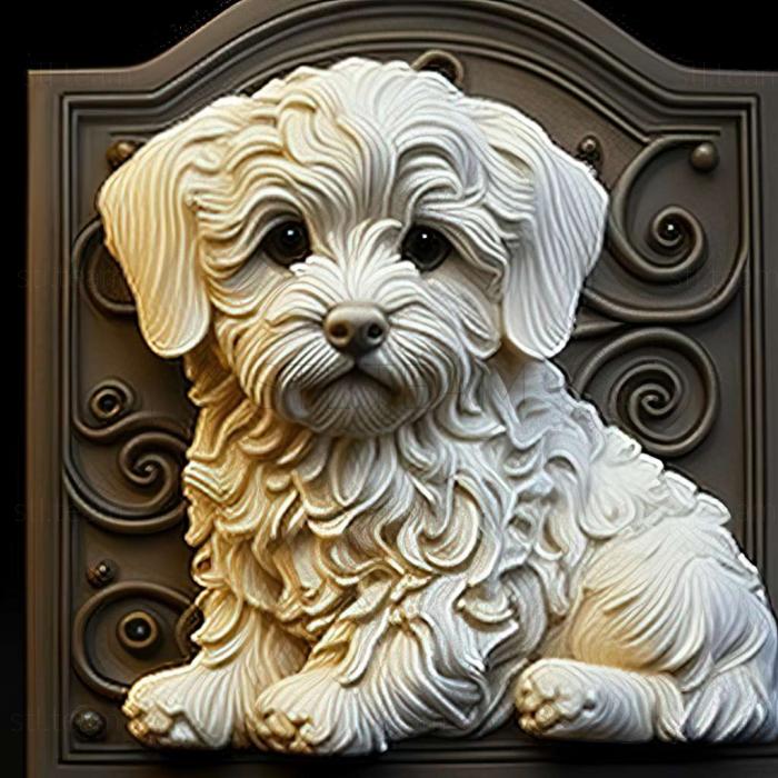 3D модель Собака породи гаванський бішон (STL)